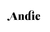 andieswimdaily.it.com